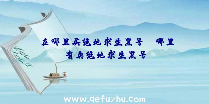 「在哪里买绝地求生黑号」|哪里有卖绝地求生黑号